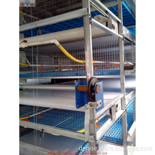Zambia poultry farm pullet rearing cage Zambia poultry farm pullet rearing cage chicken cage
